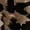 Leopard Print, variant on Women'S Leopard Print Wide Leg Pants Elastic Waist Casual Loose Fit Trousers Fashion Lounge L