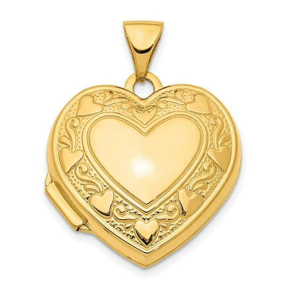Quality Gold XL746 14K Yellow Gold 19mm Heart Border Heart Locket Pendant