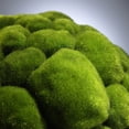 thumbnail image 3 of Cyan Design 02608 Large Moss Sphere - Green, 3 of 3