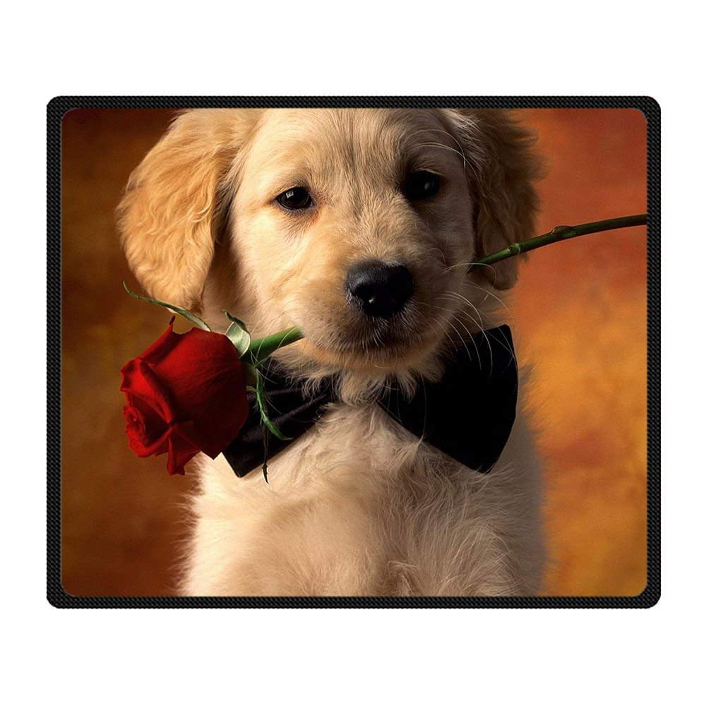 dog blanket for sofa