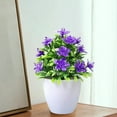 thumbnail image 6 of Artificial Pot Flowers under $5! kkbbma Artificial Pot Flowers Small Fake Plants with Pot Mini Potted Plants for House Office Tabletop Decoration, 6 of 6
