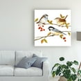 thumbnail image 3 of Trademark Fine Art 'Birds And Berries I' Canvas Art by Jane Maday, 3 of 3