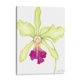 thumbnail image 1 of Cuadro decorativo - Pequeña Belleza De Orquídea Iii, Jennifer Goldberger 45x60 Canvas Lab abstracción, arte abstracto, abstracto, 1 of 2