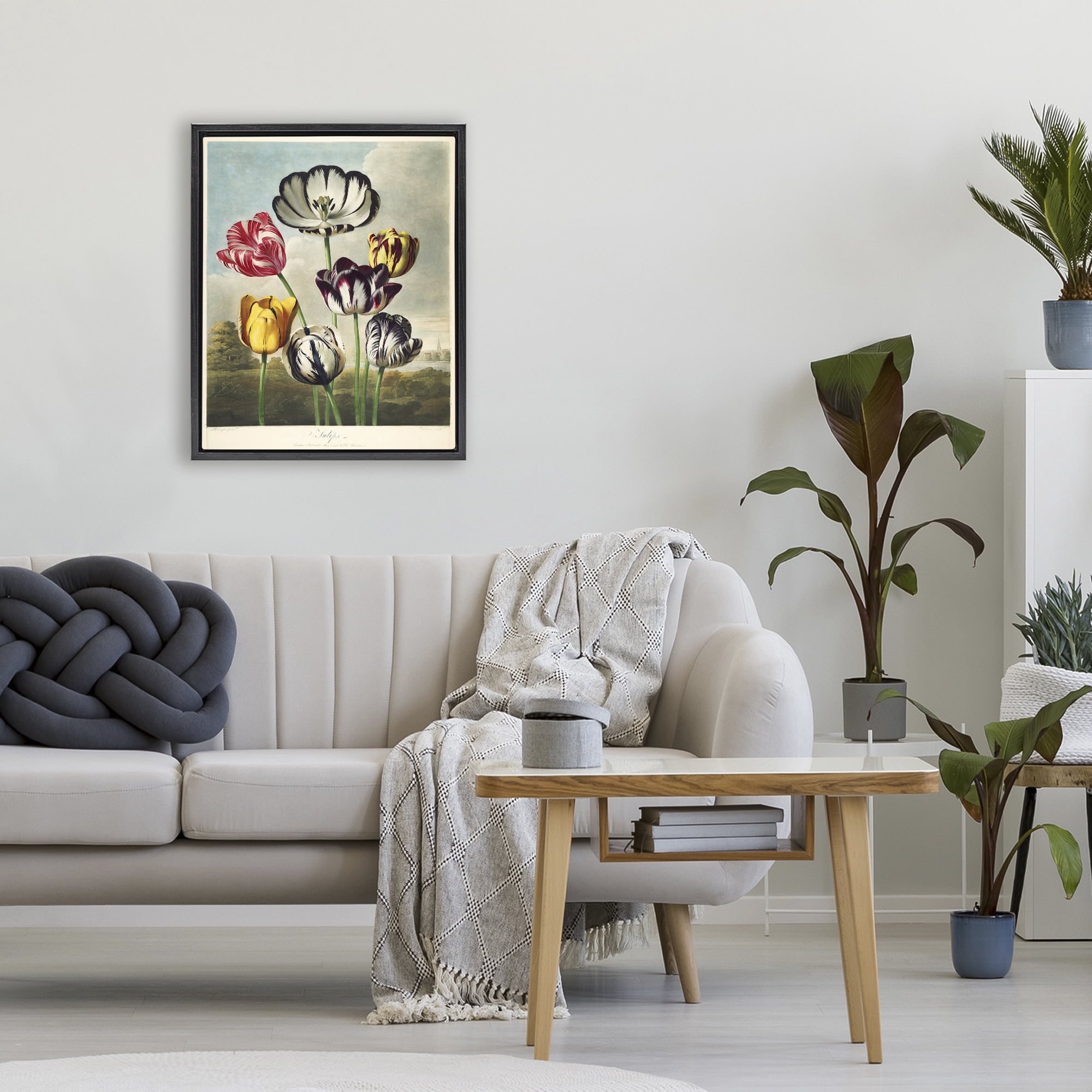 Stupell Industries Tulips From The Temple Black Framed Floater Canvas Wall Art, design by Print Collection
