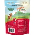 thumbnail image 2 of Emerald Pet Pumpkin Harvest Oven Baked Dog Treats with Apple, 2 of 7