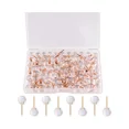 thumbnail image 1 of Push Pins 1/3 Inch Rose Gold Map Tacks 100-Count Large Size Pins Rose Gold Steel Point and Transparent Plastic Round Head, 1 of 5