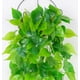 thumbnail image 4 of Planta colgante Plantas colgantes falsas con macetas, plantas colgantes artificiales, planta de cesta colgante de hojas para la pared de la habitación del hogar decoración interior al aire libre, 4 of 5