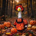 thumbnail image 5 of Halloween Porch Goose Outfit Pumpkin Dress with Witch Hat, Goose for 17 Inch Statue, Outdoor Lawn Decor Yard Garden Display, 5 of 6