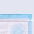 thumbnail image 3 of 100pcs Dog Training Piss Pads Super Absorbent Disposable Soft Pet Diaper, 3 of 5