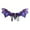 Purple, variant on Halloween Dinosaur Costume Wing, Adult Role Play Non Woven Design, Carnival Party Cosplay Accessory, Wing for Halloween Carnival Costume Party