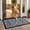 Damask, variant on Muddy Mat® Meshy Mat™ Door Mat Heavy-Duty Quick-Dry Floor Mat, Sand & Dirt Trapper for Indoor & Outdoor, Ideal for Entrance, Mudrooms,Patios & Garages,Low-Profile,Non-Slip,Washable– Paw 16"x24"x0.4"