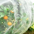 thumbnail image 4 of Alpurple Insect Bird Barrier Netting Mesh-10 x 15 Feet Garden Bug Netting Plant Cover for Protect Plant Fruits Flower from Insect Bird Eating, 4 of 5