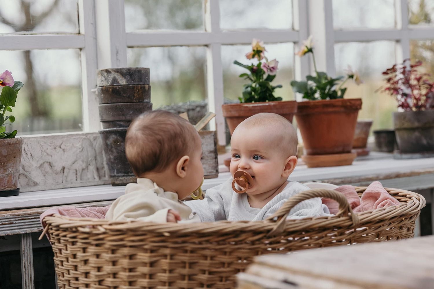 BIBS Pacifiers | Natural Rubber Baby Pacifier | Set of 2 BPA-Free Soothers | Made in Denmark | Size 6-18 Months