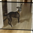 thumbnail image 4 of XIBUFE 2026 New Gate for Dogs Folding Mesh Gate Indoor and Outdoor for Doorways,Hallways,Stairs,Pets,Small Dogs,Puppies, 4 of 7