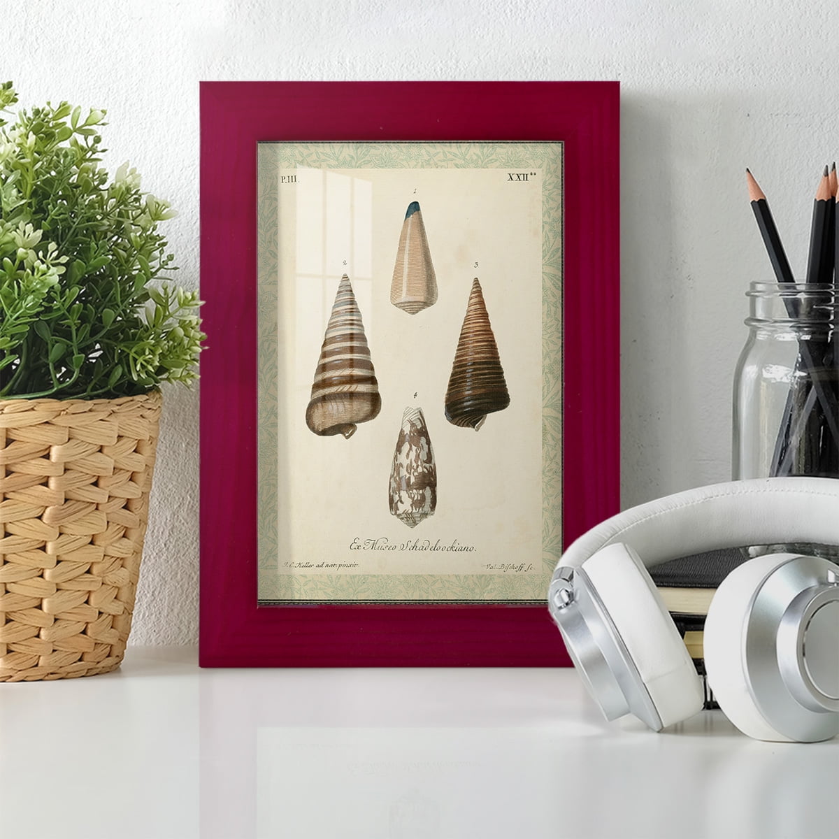 Bookplate Shells VI - Framed Print w/glass - Cherry Red