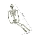 thumbnail image 2 of Halloween Party Supplies Life Size Human Skeleton Model, 5.5Ft Articulated Anatomical Skeleton For Medical Study, Classroom, Halloween Decor Halloween Decorations Perfect For Halloween Party, 2 of 4