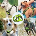 thumbnail image 4 of Astarin No Pull Dog Harness for Dogs,No Choke Front Clip Dog Reflective Harness, Adjustable and Comfortable for Easy Walking, Adjustable 2 Metal Rings 3 Buckles,Green/XS, 4 of 6