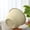 Beige, variant on Plastic Plant Pot,Plant Pots Indoor,Planter Pot - Outdoor & Indoor Plant Pot with Drainage Hole & Plug - Rolled Rim Plastic Pots for Plants & Flowers - Decorative Plant Pot(Beige 6.5IN)