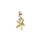 thumbnail image 2 of ESTRELLA DORADA CON NEGRO, 2 of 2