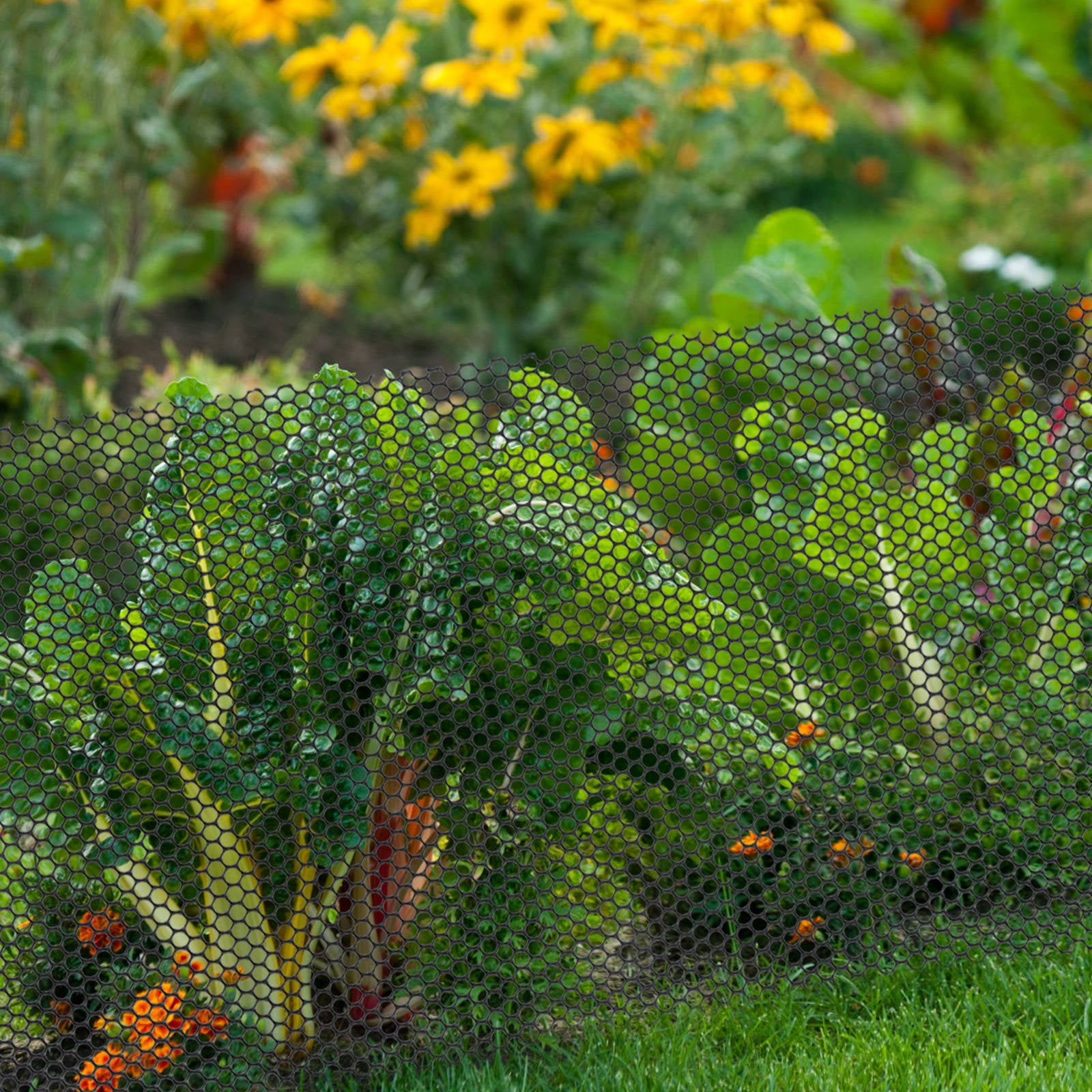 MLINS Bird Netting Garden Fence Baby 0.00X0.00X0.00CM Black