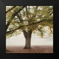 thumbnail image 2 of Poinski, Dianne 15x15 Black Modern Framed Museum Art Print Titled - Oak Tree 2, 2 of 5