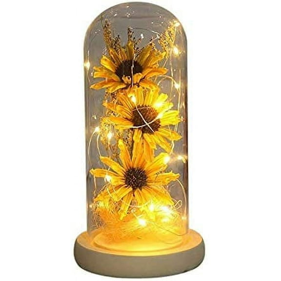 NA Sunflower in Glass Dome Gifts for Women Enchanted Flower with LED Light Enchanted Gift for Women on Christmas Valentine's Day Mother's Day Anniversary Birthday Thanksgiving
