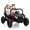 Black, variant on Shininglove 24V 2-Seater Kids Ride on UTV Car with Remote Control