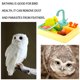 thumbnail image 4 of Methold Bañera de pájaros, cuenco de ducha automático con batería, alimentador de animales, juguetes para niños, bañera de plástico Aseo de mascotas amarillo Methold PT000082-04B, 4 of 6