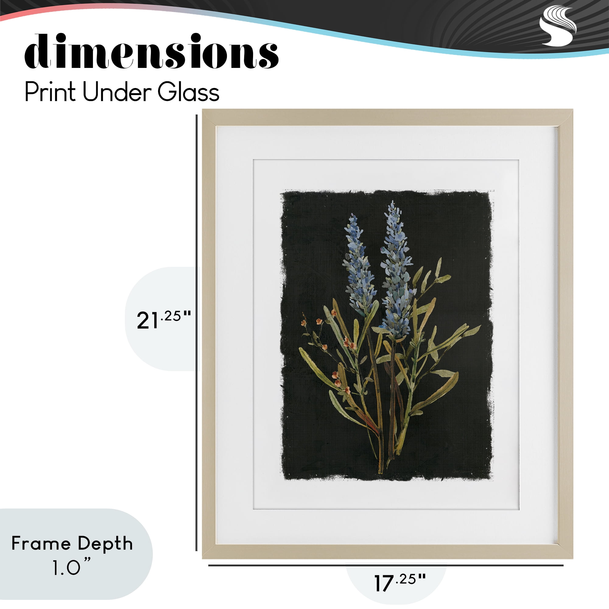Stupell Industries Lavender Sprigs on Dark Background Birch Framed Print Under Glass, design by Carol Robinson