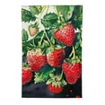 thumbnail image 2 of Heduofu Garden Flag Watercolor Fruit Leaves Home Flags Double-Sided Welcome Yard Flag Outdoor Decor White, 2 of 6