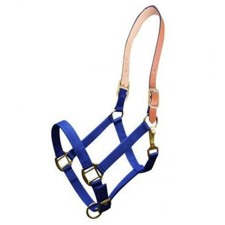 Showman Triple Ply Nylon Halter w/ Leather Crown