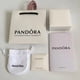 thumbnail image 3 of 2023 New Crazy Bag Caja de embalaje original de Pandora, 3 of 4