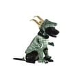 thumbnail image 2 of Costume d'Animal de Compagnie Variante Alligator Loki, 2 of 2