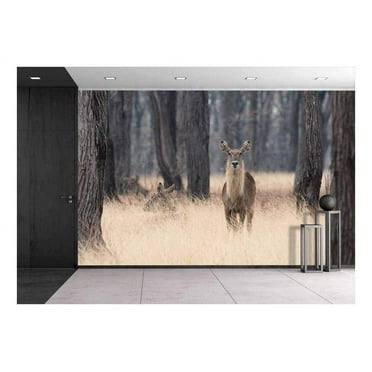 wall26 Waterbuck (Kobus Ellipsiprymnus) Standing in Tall Grasses Amongst Trees - Removable Wall Mural | Self-Adhesive Large Wallpaper - 66x96 inches