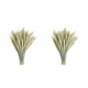 thumbnail image 3 of Ramo de flores secas naturales Advancent 50 pcs 2piezas, 3 of 6