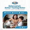 thumbnail image 4 of Omnipure K2551-KK Inline Filter 1/2 Calcite and 1/2 Corosex for Higher pH Correct Acidic Low pH Water, 2 x10 Inch Cartridge, 4 of 7