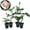 4 Plants, variant on New Dawn Rose Bush - Live Starter Plant in a 2 Inch Pot - Beautiful Roses from Florida - A Timeless Classic Ornamental Rose