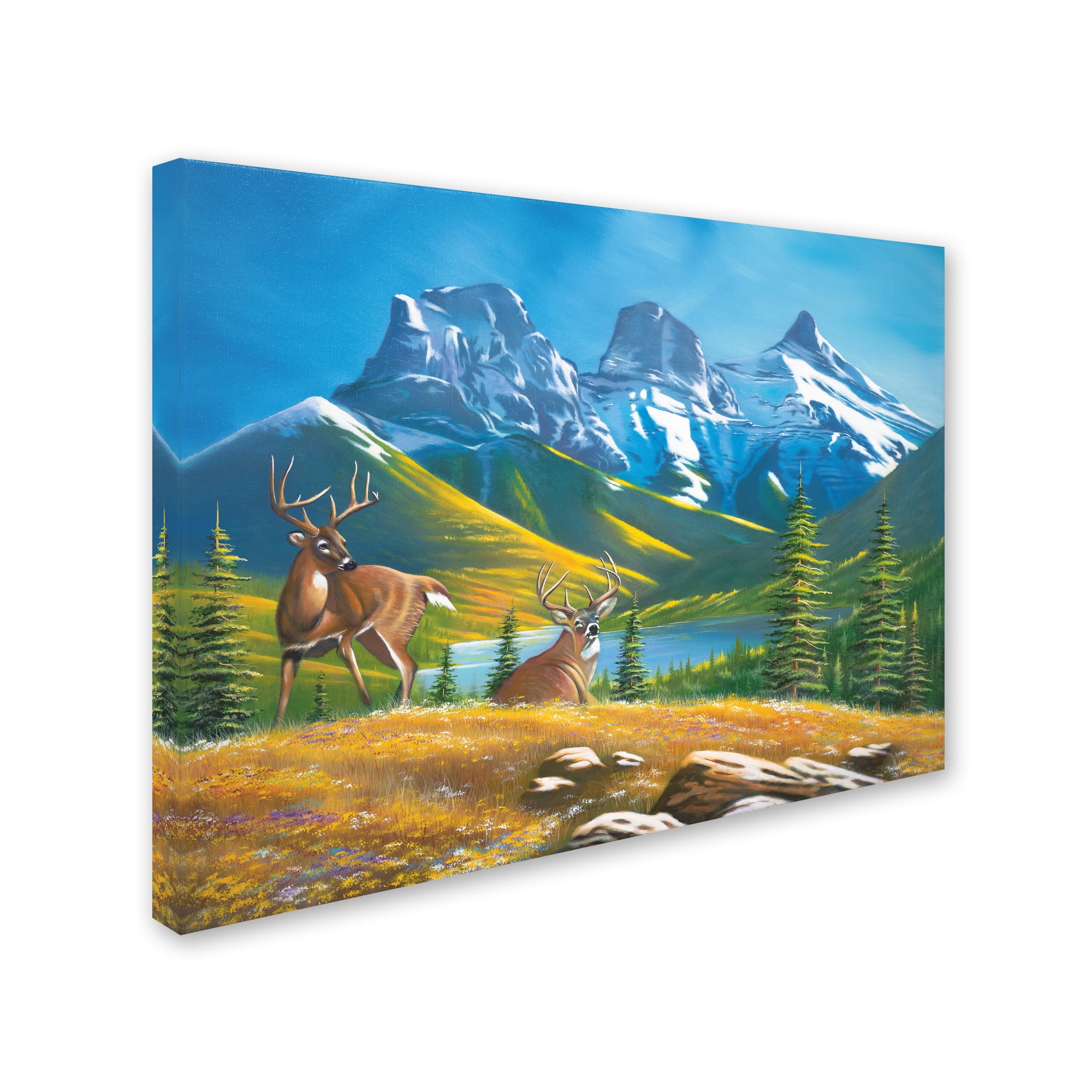 Trademark Fine Art 'Buck Country 2' Canvas Art by Geno Peoples