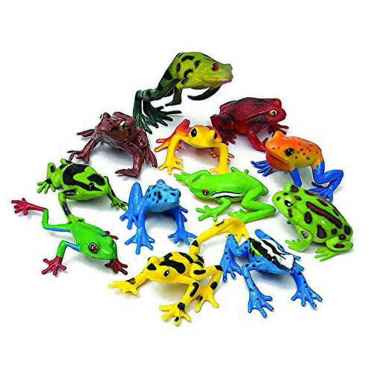 Wild Republic Frog Nature Tube, Amphibian Figures, Frog Toys, Educational  Toys for Kids, 12-Piece 