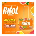 thumbnail image 3 of Pastilla Sanitaria Pinol Aroma Cítrico 72 g, 3 of 4