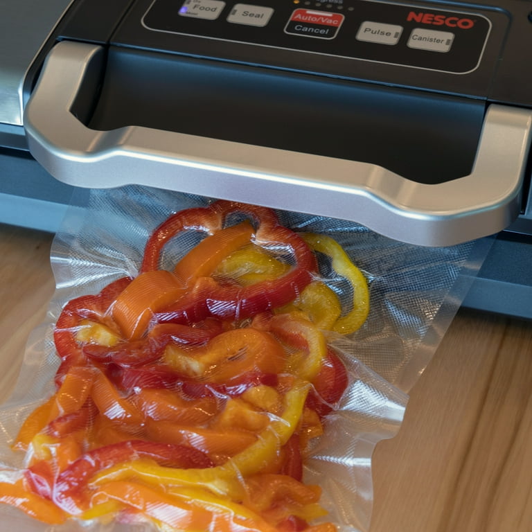 NESCO 900 美顔器 ハードケース付き NESCO 900 美顔器 ハードケース付き