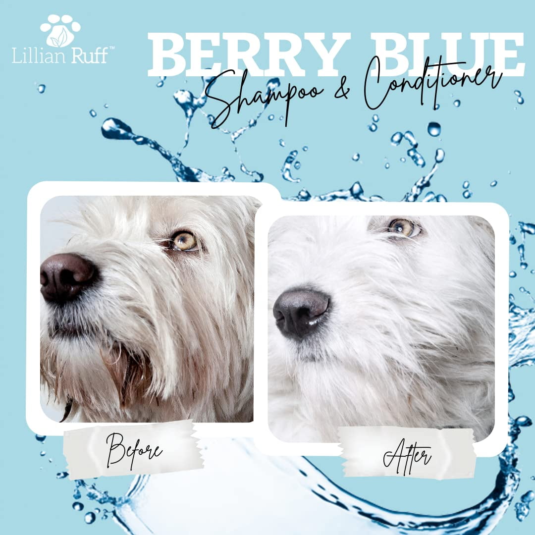Berry Blue Brightening Face and Body Wash for Dogs Blueberry Shampoo to Remove Tear Stains Hydrate Dry Itchy Skin and Add Shine and Luster to Coats Berry Blue Shampoo and