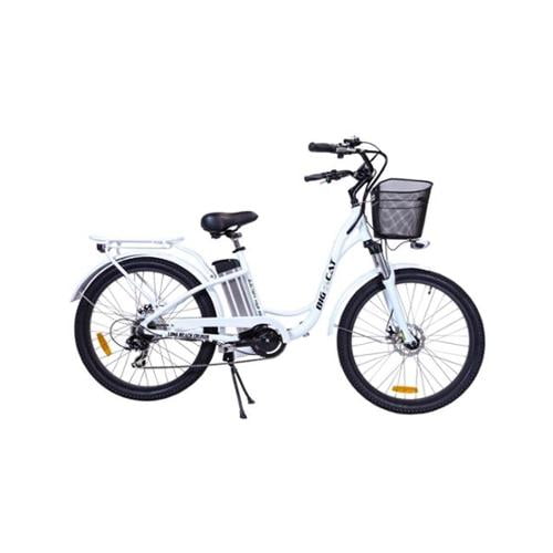 big cat long beach cruiser xl