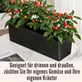 thumbnail image 3 of LaLaGreen Planter Box for Indoor Plants (16 Inch, 2 Pack) Black Rectangular Self Watering Flower Pot, Large Window Boxes Planters with Drai, 3 of 6