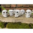 thumbnail image 3 of 10 PCS Mini Skulls Voodoo Zombie Loot Halloween Decorations Props Favors 4cm, 3 of 7