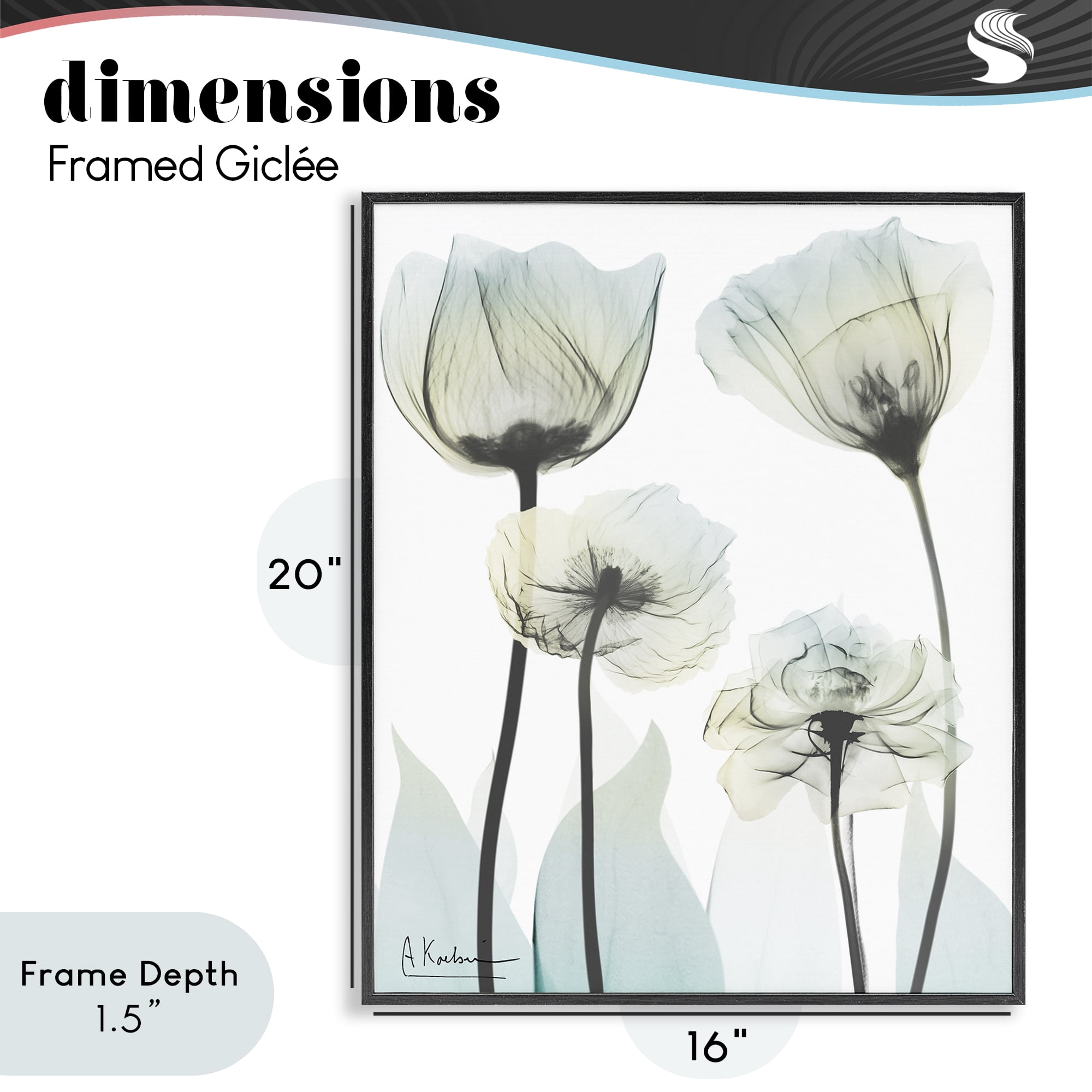 Stupell Industries Floral Luxury Of Creation Black Framed Giclee Art, design by Albert Koetsier