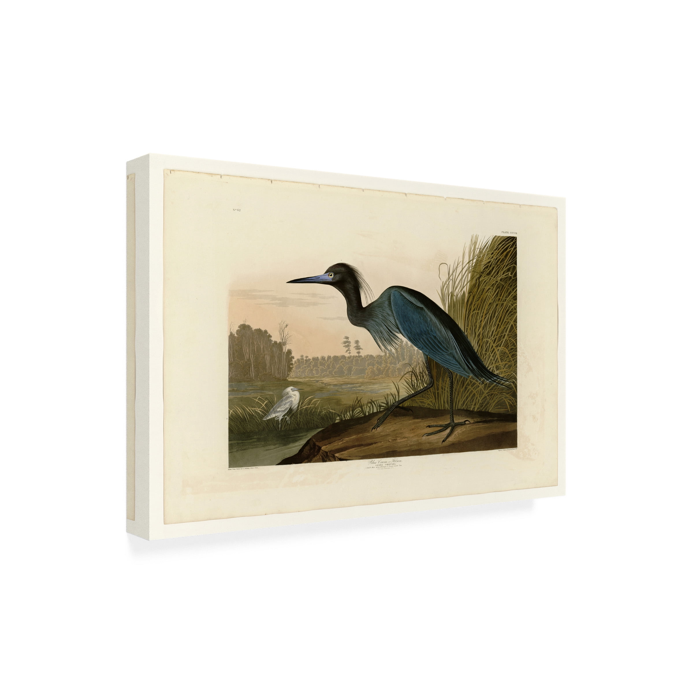 John James Audubon 'Blue Crane or Heron' Canvas Art