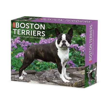 UPC: 0709786073689 | Boston Terriers 2023 Box Calendar
