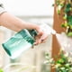 thumbnail image 4 of Bewildely Regadera vacía, rociador para macetas, botella rociadora para plantas de interior y exterior, rociadores de nebulización, suministros Jardín y Patio Color del té 500ml, 4 of 6