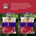 thumbnail image 4 of FLY JAIL Large Bags Disposable Outdoor Fly Trap Pre-Baited High-Capacity Fly Catcher(2 Pack), 4 of 9